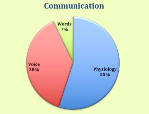 Communication Pie Chart